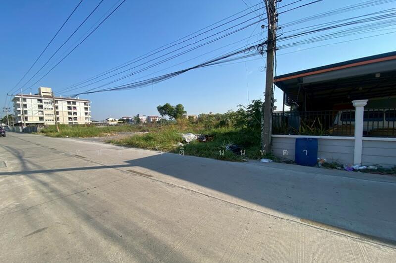 ให้เช่า - ให้เช่า ที่ดินเปล่า เนื้อที่ 200 ตร.ว. ซอยรังสิต-นครนายก 10 (ใกล้ฟิวเจอร์พาร์ครังสิต), ปทุมธานี