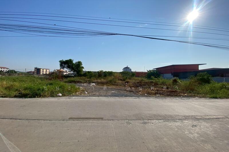 ให้เช่า - ให้เช่า ที่ดินเปล่า เนื้อที่ 200 ตร.ว. ซอยรังสิต-นครนายก 10 (ใกล้ฟิวเจอร์พาร์ครังสิต), ปทุมธานี