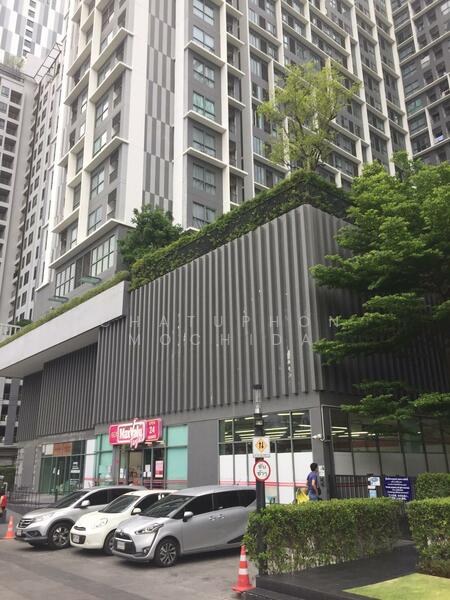 IDEO MOBI Sukhumvit 81 : ไอดีโอ โมบิ สุขุมวิท 81, กรุงเทพ, 2097 ถนนสุขุมวิท แขวงบางจาก เขตพระโขนง กรุงเทพมหานคร, บางจาก, พระโขนง, กรุงเทพ, 31 ตร.ม., คอนโด ขาย, โดย Chatuphon Mochida, 500121835 - DDproperty.com