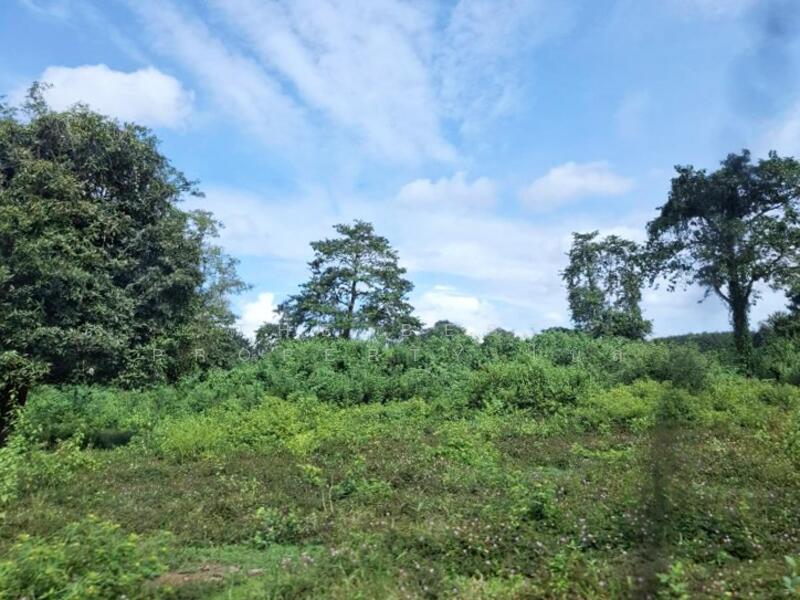 For Sale - ที่ดินพร้อมสิ่งปลูกสร้างป่าอ้อดอนชัย เชียงราย, Chiang Rai