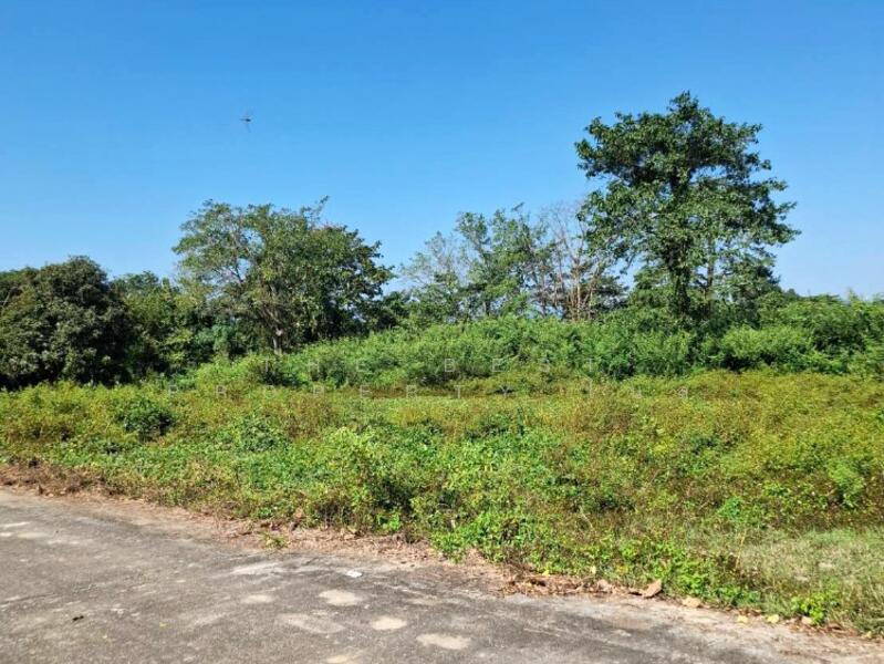 For Sale - ที่ดินพร้อมสิ่งปลูกสร้างป่าอ้อดอนชัย เชียงราย, Chiang Rai