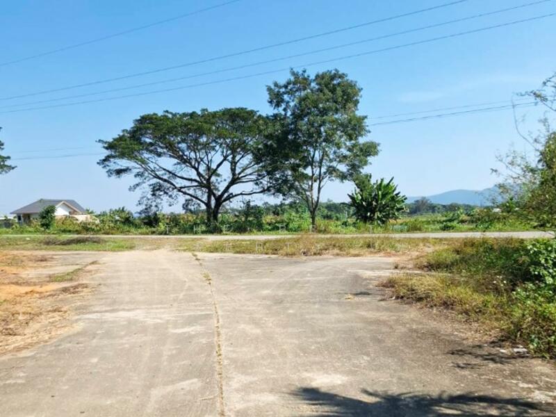 For Sale - ที่ดินพร้อมสิ่งปลูกสร้างป่าอ้อดอนชัย เชียงราย, Chiang Rai