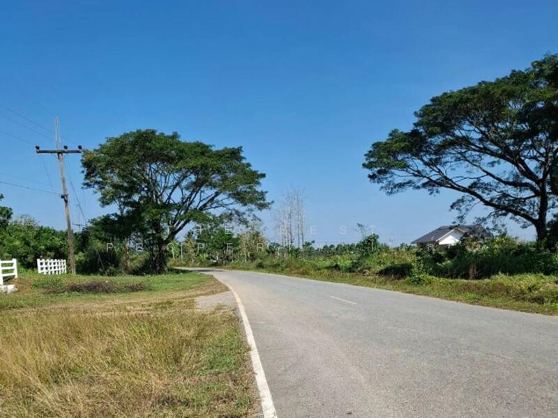 For Sale - ที่ดินพร้อมสิ่งปลูกสร้างป่าอ้อดอนชัย เชียงราย, Chiang Rai