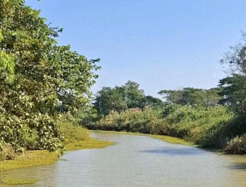 For Sale - ที่ดินพร้อมสิ่งปลูกสร้างป่าอ้อดอนชัย เชียงราย, Chiang Rai