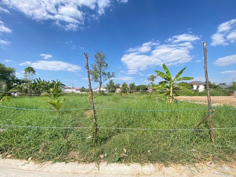 ให้เช่า - ที่ดินปากเกร็ด ใกล้เมืองทอง, นนทบุรี