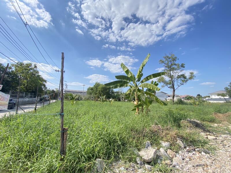 ให้เช่า - ที่ดินปากเกร็ด ใกล้เมืองทอง, นนทบุรี