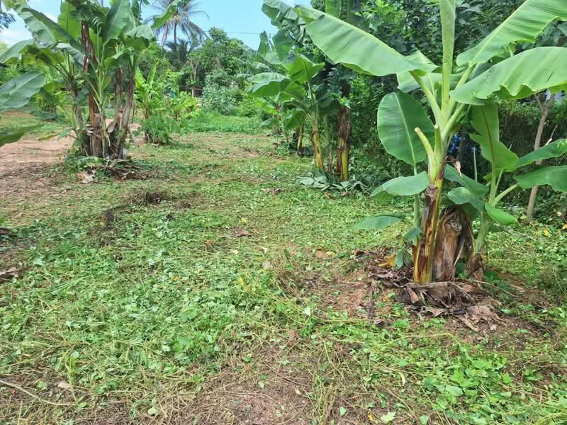 ที่ดินท่าเสา อุตรดิตถ์, Uttaradit, Tha Sao, Muang Uttaradit, Uttaradit, , 1,600 sqm, Land For Sale, by The Best Property ตุ๋ม, 500122331 - DDproperty.com