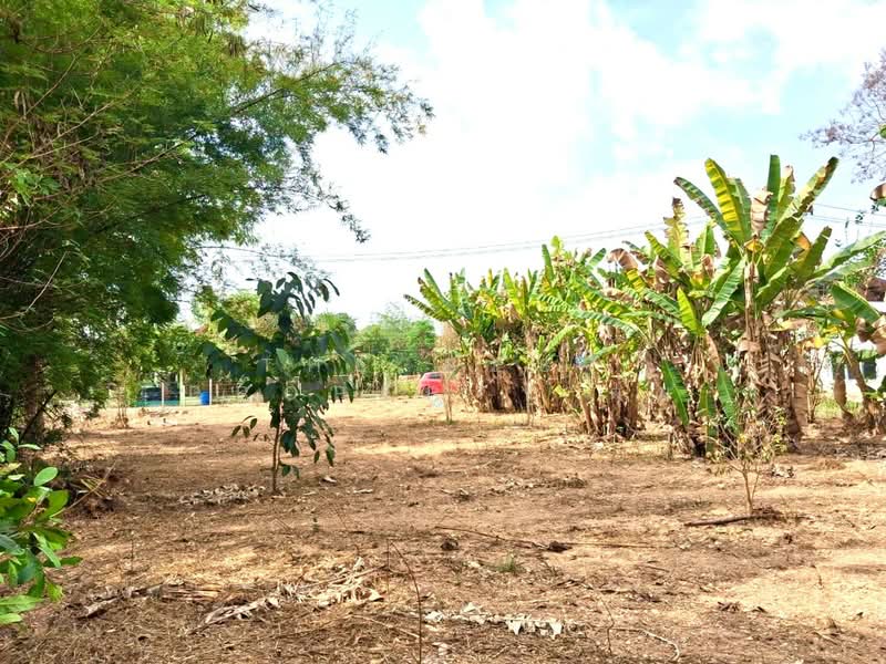 ที่ดินท่าเสา อุตรดิตถ์, Uttaradit, Tha Sao, Muang Uttaradit, Uttaradit, , 1,600 sqm, Land For Sale, by The Best Property ตุ๋ม, 500122331 - DDproperty.com