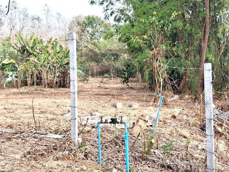 ที่ดินท่าเสา อุตรดิตถ์, Uttaradit, Tha Sao, Muang Uttaradit, Uttaradit, , 1,600 sqm, Land For Sale, by The Best Property ตุ๋ม, 500122331 - DDproperty.com
