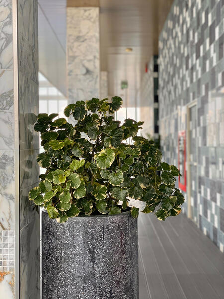 Park Origin Phrom Phong (Park 24), Bangkok, 68 Soi Sukhumvit 24, Khong Tan, Khlong Toei, Bangkok, 2 Bedrooms, 50 sqm, Condo For Rent, by Patraporn Kansri, 500122407 - DDproperty.com