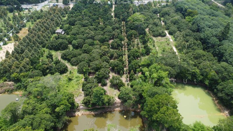 ขาย - ขายบ้านพร้อมสวนผลไม้ผสมแปลงเล็ก ให้ผลผลิตแล้ว, ระยอง