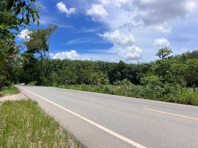 ขาย - ขายบ้านพร้อมสวนผลไม้ผสมแปลงเล็ก ให้ผลผลิตแล้ว, ระยอง