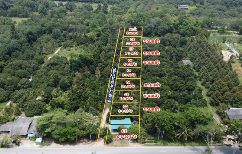 ขาย - ขายบ้านพร้อมสวนผลไม้ผสมแปลงเล็ก ให้ผลผลิตแล้ว, ระยอง