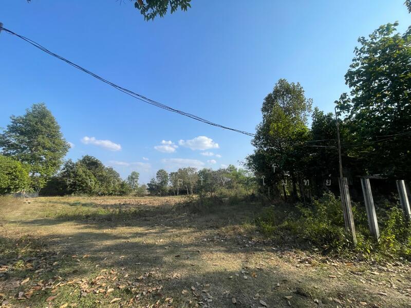 ขาย - ที่ดินแวงน่าง มหาสารคาม, มหาสารคาม