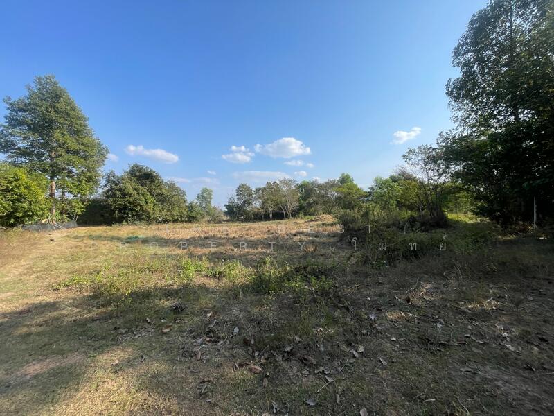 ขาย - ที่ดินแวงน่าง มหาสารคาม, มหาสารคาม