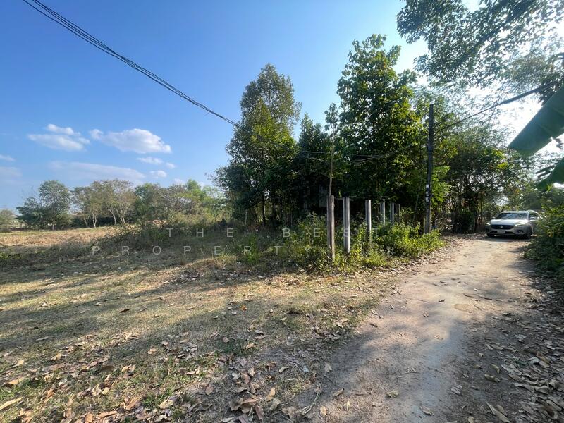 ขาย - ที่ดินแวงน่าง มหาสารคาม, มหาสารคาม