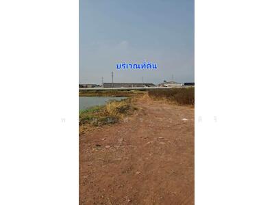 ขาย - ขาย ที่ดินจัดสรร 79 ตรว.ใกล้วัดหัวกระบือ, ท่าข้าม, พระราม2,กรุงเทพฯ ใกล้ทางด่วนพระราม, กรุงเทพ