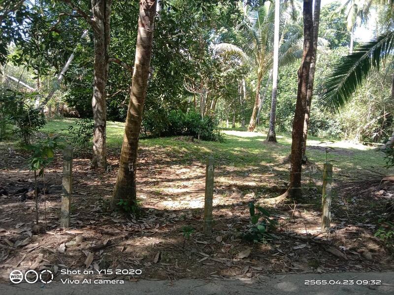 ขาย - ขายที่ดินสวนปาล์ม สวนผสม 14ไร่ อำเภอเมือง จ.ระนอง, ระนอง