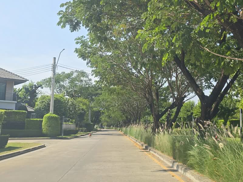 Pave Ramintra-Wongwaen, Bangkok, Soi Karnchanapisek Expressway, O-Ngoen, Sai Mai, Bangkok, 4 Bedrooms, 237 sqm, Single Detached House For Sale, by Ann S, 500123949 - DDproperty.com