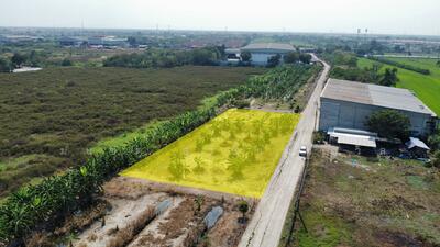 ขาย - ไทรน้อย, นนทบุรี