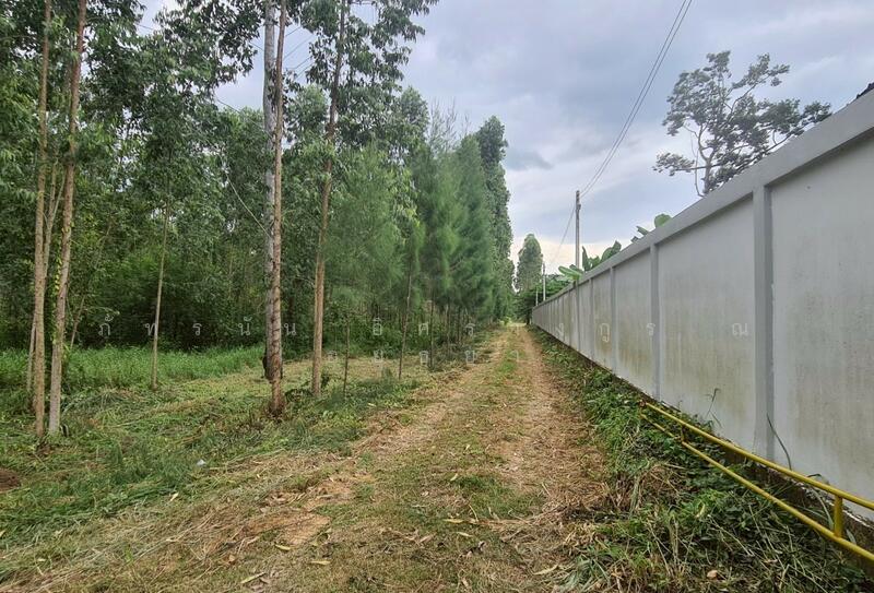 ขาย - ที่ดินเปล่าถมแล้ว ถนนสระแก้ว-เขาหินซ้อน ต.สระแก้ว อ.เมืองสระแก้ว จ.สระแก้ว, สระแก้ว