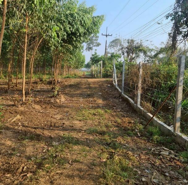 ขาย - ที่ดินเปล่าถมแล้ว ถนนสระแก้ว-เขาหินซ้อน ต.สระแก้ว อ.เมืองสระแก้ว จ.สระแก้ว, สระแก้ว