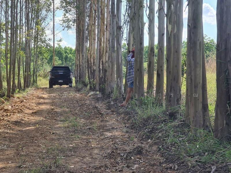 ขาย - ที่ดินเปล่าถมแล้ว ถนนสระแก้ว-เขาหินซ้อน ต.สระแก้ว อ.เมืองสระแก้ว จ.สระแก้ว, สระแก้ว