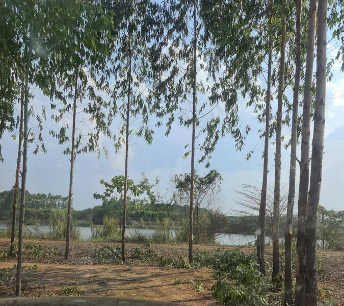 ขาย - ที่ดินเปล่าถมแล้ว ถนนสระแก้ว-เขาหินซ้อน ต.สระแก้ว อ.เมืองสระแก้ว จ.สระแก้ว, สระแก้ว