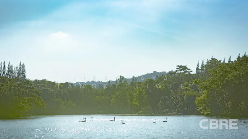 ขาย - Swan Lake Residences Khao Yai : สวอนเลค เรสซิเดนท์ เขาใหญ่, นครราชสีมา