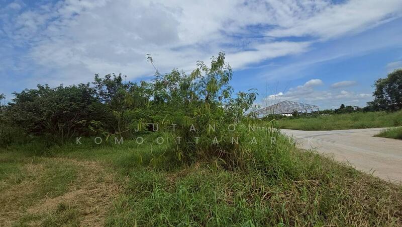 ขาย - ขายที่ดิน บ้านบึง ชลบุรี 5 ไร่ 1 งาน 46 ตร.ว. ทำเลดี เหมาะลงทุน, ชลบุรี