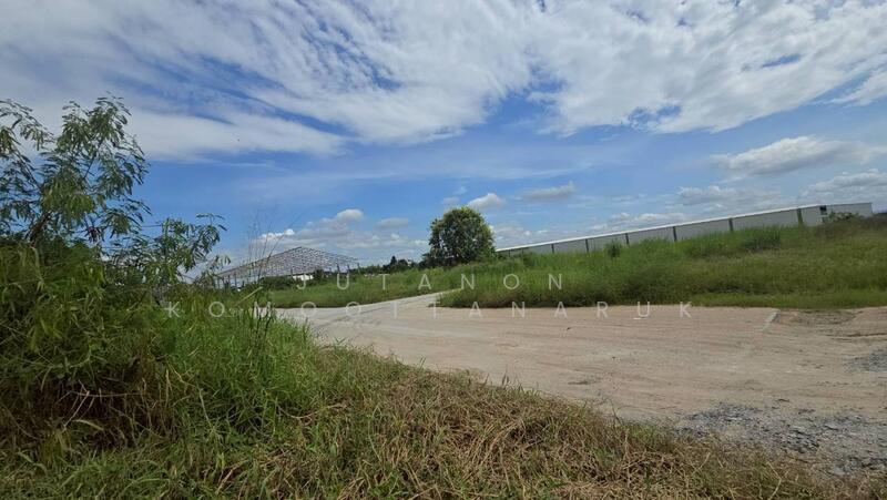 ขาย - ขายที่ดิน บ้านบึง ชลบุรี 5 ไร่ 1 งาน 46 ตร.ว. ทำเลดี เหมาะลงทุน, ชลบุรี