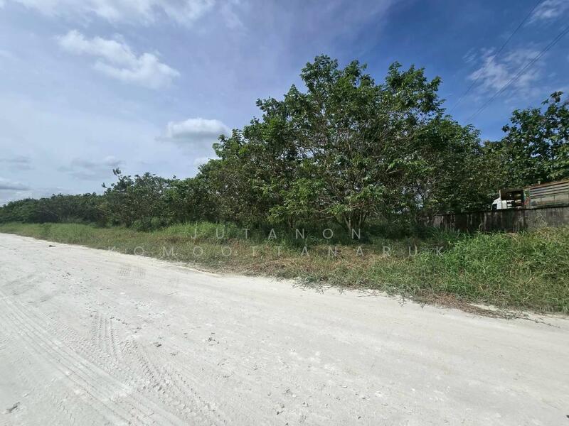 ขาย - ขายที่ดิน บ้านบึง ชลบุรี 5 ไร่ 1 งาน 46 ตร.ว. ทำเลดี เหมาะลงทุน, ชลบุรี