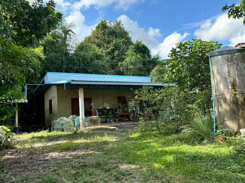 นอกโครงการอุตรดิตถ์, อุตรดิตถ์, ชัยจุมพล, ลับแล, อุตรดิตถ์, 928 ตร.ม., บ้านเดี่ยว ขาย, โดย คุณแจม, 500125005 - DDproperty.com