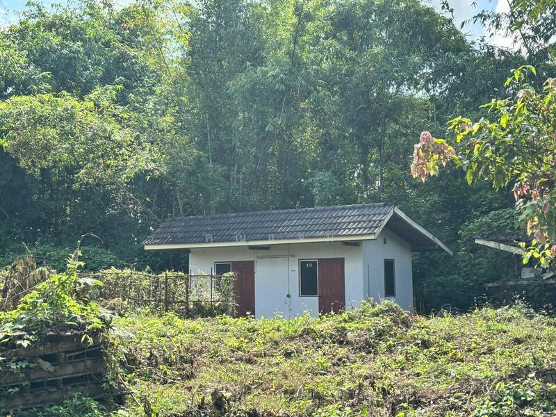 นอกโครงการอุตรดิตถ์, Uttaradit, Chai Chumphon, Laplae, Uttaradit, 2 Bedrooms, 928 sqm, Single Detached House For Sale, by คุณแจม, 500125005 - DDproperty.com