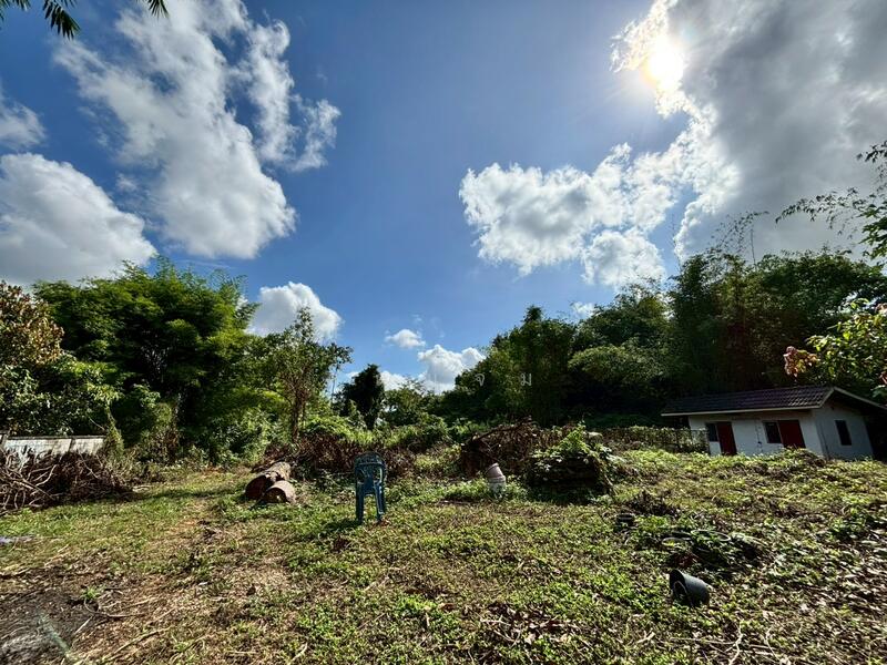 นอกโครงการอุตรดิตถ์, Uttaradit, Chai Chumphon, Laplae, Uttaradit, 2 Bedrooms, 928 sqm, Single Detached House For Sale, by คุณแจม, 500125005 - DDproperty.com