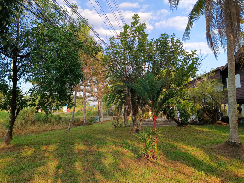 บ้านเดี่ยวพร้อมที่ดินท่าพริก ตราด, ตราด, ท่าพริก, เมืองตราด, ตราด, 100 ตร.ม., บ้านเดี่ยว ขาย, โดย The Best Property เบิ้ม, 500125080 - DDproperty.com