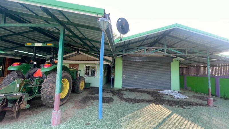 นอกโครงการชัยภูมิ, ชัยภูมิ, กุดตุ้ม, เมืองชัยภูมิ, ชัยภูมิ, 340 ตร.ม., บ้านเดี่ยว ขาย, โดย คุณแจม, 500125166 - DDproperty.com