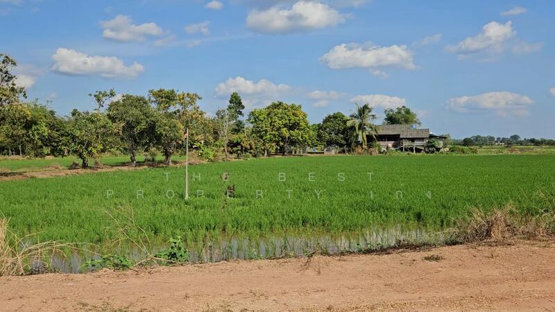 For Sale - ที่ดินปากพลี นครนายก, Nakhon Nayok