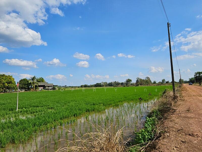 ขาย - ที่ดินปากพลี นครนายก, นครนายก
