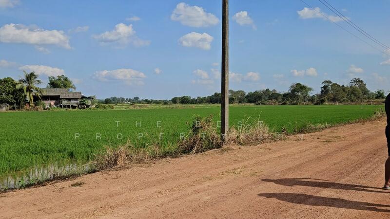 ขาย - ที่ดินปากพลี นครนายก, นครนายก