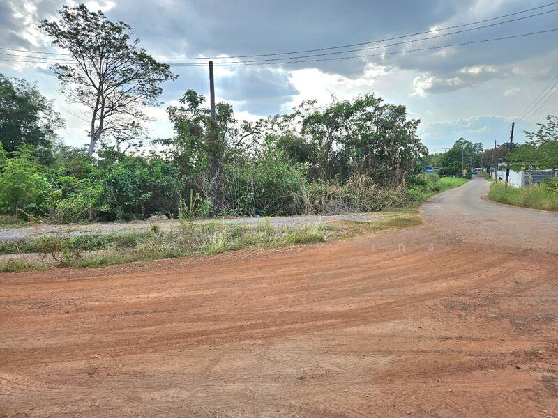 For Sale - ที่ดินปากพลี นครนายก, Nakhon Nayok