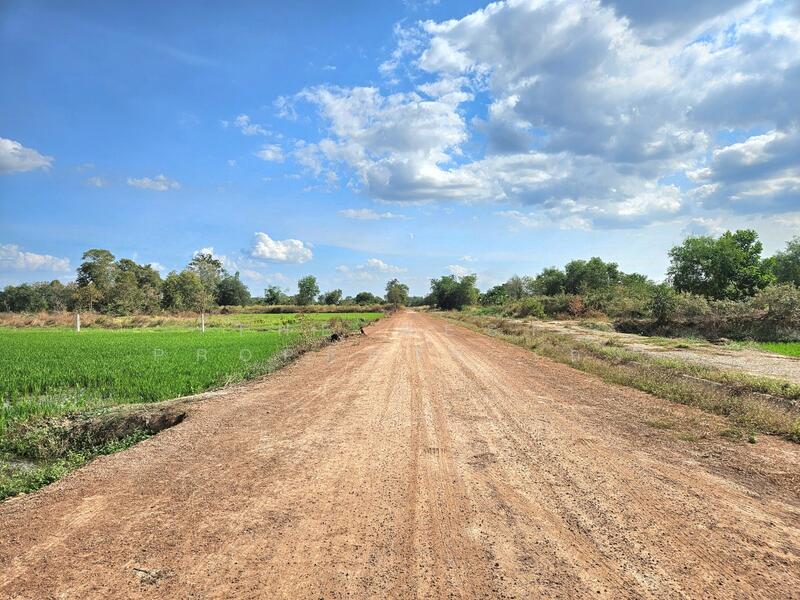 For Sale - ที่ดินปากพลี นครนายก, Nakhon Nayok