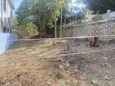 ขาย - ขายที่ดิน ไสยวน ราไวย์ เหมาะสำหรับทำพูลวิลล่าหรือ อพาร์ทเม้นท์, ภูเก็ต