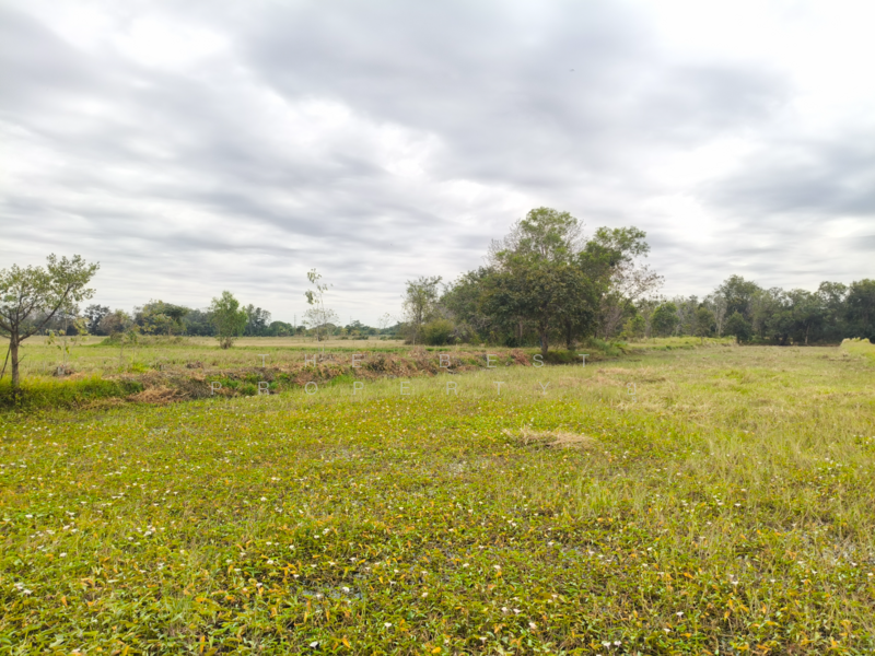 ที่ดินแกใหญ่ สุรินทร์, Surin, Kae Yai, Muang Surin, Surin, , 3,924 sqm, Land For Sale, by The Best Property ยุ, 500125546 - DDproperty.com