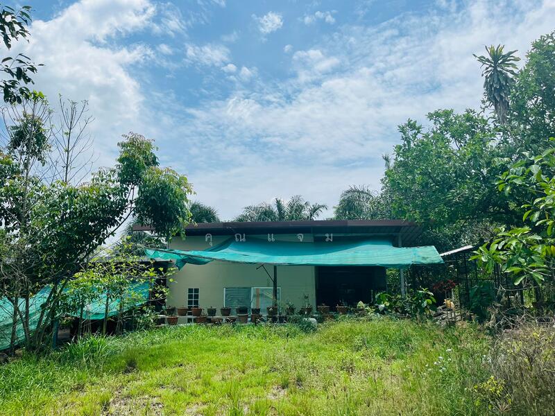 For Sale - นอกโครงการสุราษฏร์ธานี, Surat Thani