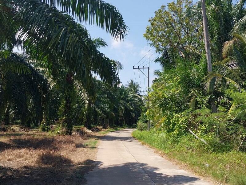 ขาย - สายบ้านตายูร, ชุมพร