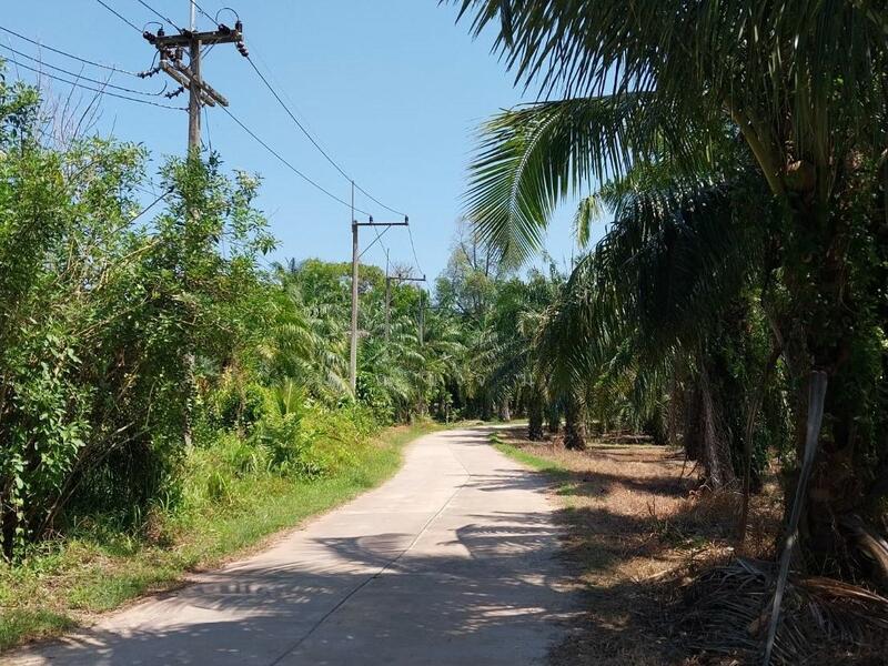สายบ้านตายูร, Chumphon, Bang Maphrao, Lang Suan, Chumphon, 2 Bedrooms, 338 sqm, Single Detached House For Sale, by คุณแจม, 500125840 - DDproperty.com