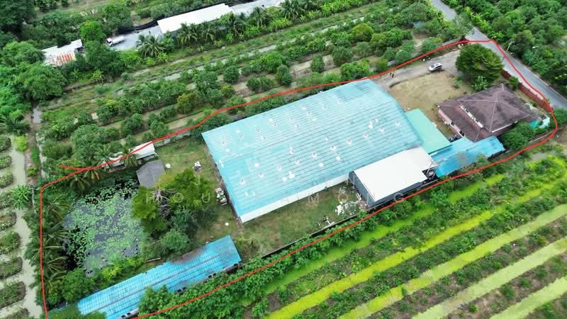 For Rent - ให้เช่าโรงงาน พื้นที่สีชมพู สามพราน นครปฐม พื้นที่ 4 ไร่ มี รงใบ 4, Nakhon Pathom