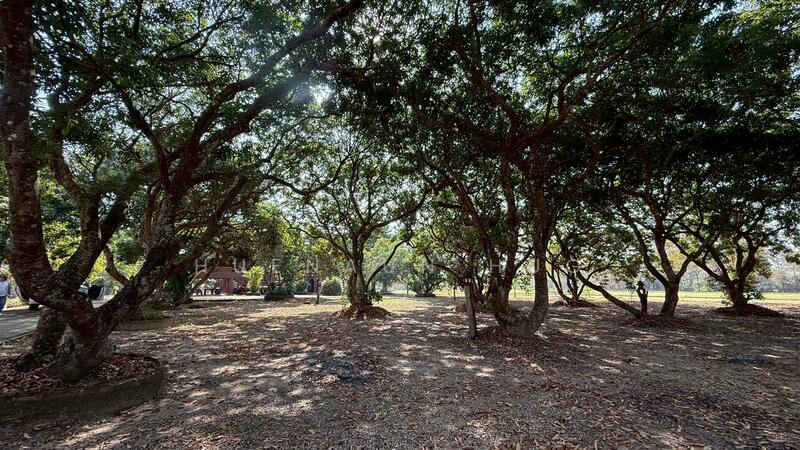 ให้เช่า - เฮือนอุ่นฮัก, เชียงราย