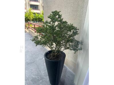 ขาย - Baan Green Town (บ้านกรีนทาวน์), กรุงเทพ